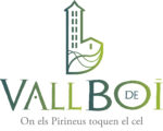VallBoí_logo01_CMYK
